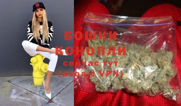 МДПВ Богородицк