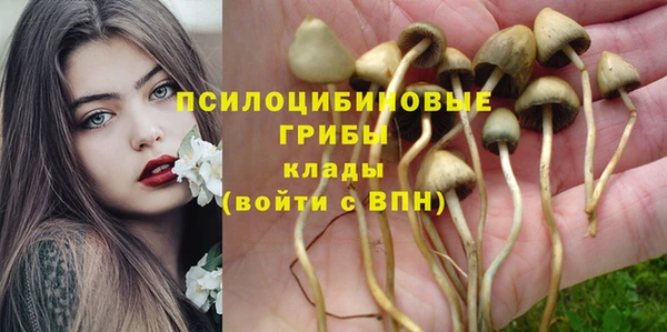 стафф Белоозёрский