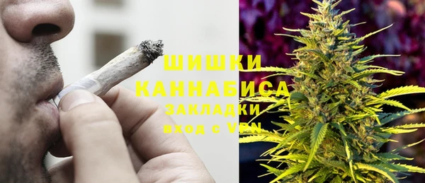 МДПВ Богородицк