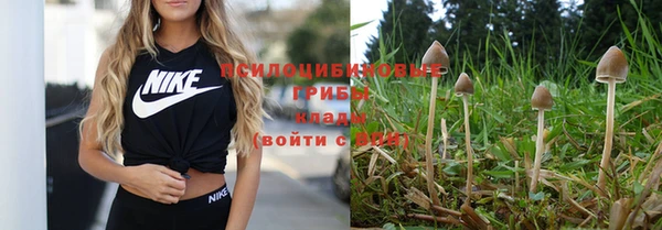 бутират Богданович