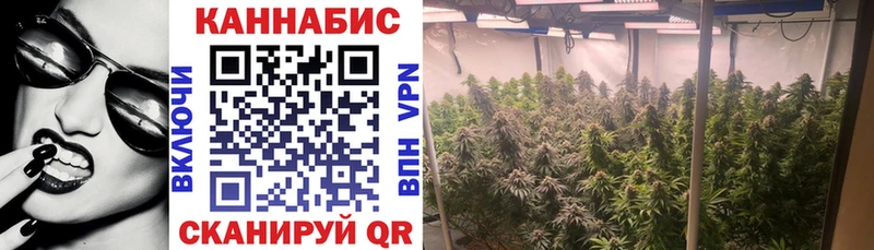 hydra маркетплейс  цена наркотик  Северск  Бошки Шишки семена 